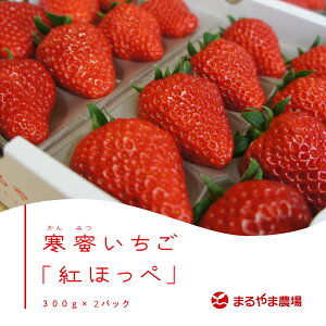 【産直商品】静岡県産「寒蜜いちご」紅ほっぺ300g×2P