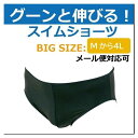 水着 インナー メンズ インナーショーツ ブリーフ 大きいサイズ 日本製 スイムショーツ アンダーショーツ プール ジム フィットネス トレーニング M L L...