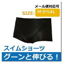 水着 シニア インナー メンズ インナーショーツ ブリーフ 大きいサイズ 日本製 スイムショーツ アンダーショーツ プール ジム フィットネス トレーニング M...