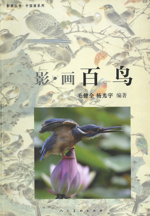 商品詳細 中国語書名影・画百鳥 出版社人民美術出版社 出版日2009年2月第一版 ページ数カラー76P サイズ18.5cm×26cm 本の紹介 なかなか日本で見た事のない素晴らしい作品がたくさん収録されております。 中国語が読めなくても大丈夫です。 猛禽を描く順番図があります。とても良い資料になります！