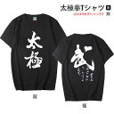 【メール便対応!】【太極拳】カッコイイ黒と白の中国武術デザインTシャツ!練習には武術らしい動きやすいTシャツが一番! 武縁堂太極拳半袖Tシャツ〜太極武〜