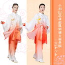 小和山高級龍鳳刺繍グラデーション太極拳服 三点セット 二点セット