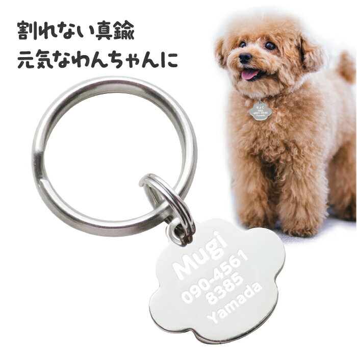 【最大2000円OFFクーポン】デイリーランキング1位！ 【あす楽】迷子札 犬 迷子 防止 猫 肉球 ...