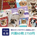 リアルタイムランキング1位！ ペット名刺 かわいい デザインテンプレート 86種類 大好きなペットの写真を入れることができます 犬 猫 イヌ ネコ オリジナル 送料無料