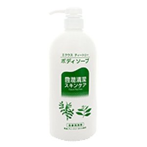 エクウス ティートリー ボディソープ550ml　1個 中央薬品 医薬部外品　低刺激性スキンケア