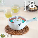 【10%OFFクーポンあり!5/30〜6/1まで】急須 波佐見焼 洗いやすい 300ml 茶こし付 おしゃれ ポット 赤 彩椿 ひまわり堂