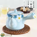 一珍花 急須 波佐見焼 茶こし モダン きゅうす 青 網付き 日本製 水切れ良い ほうじ茶 緑茶 プレゼント 母の日 誕生日 敬老の日