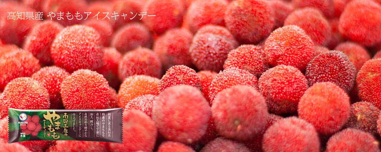 【送料無料・バレンタイン】「よ-いドン！」アイスセット【大ヒット商品】/生果実まるごとジューシー/高知の特産果物/10本/お取り寄せ/ギフト/高知/お土産/アイスキャンディー/フルーツ/アイスキャンデー/シャーベット/応援/支援/感謝/コロナに負けるな格安通販　バレンタイン　人気　ランキング