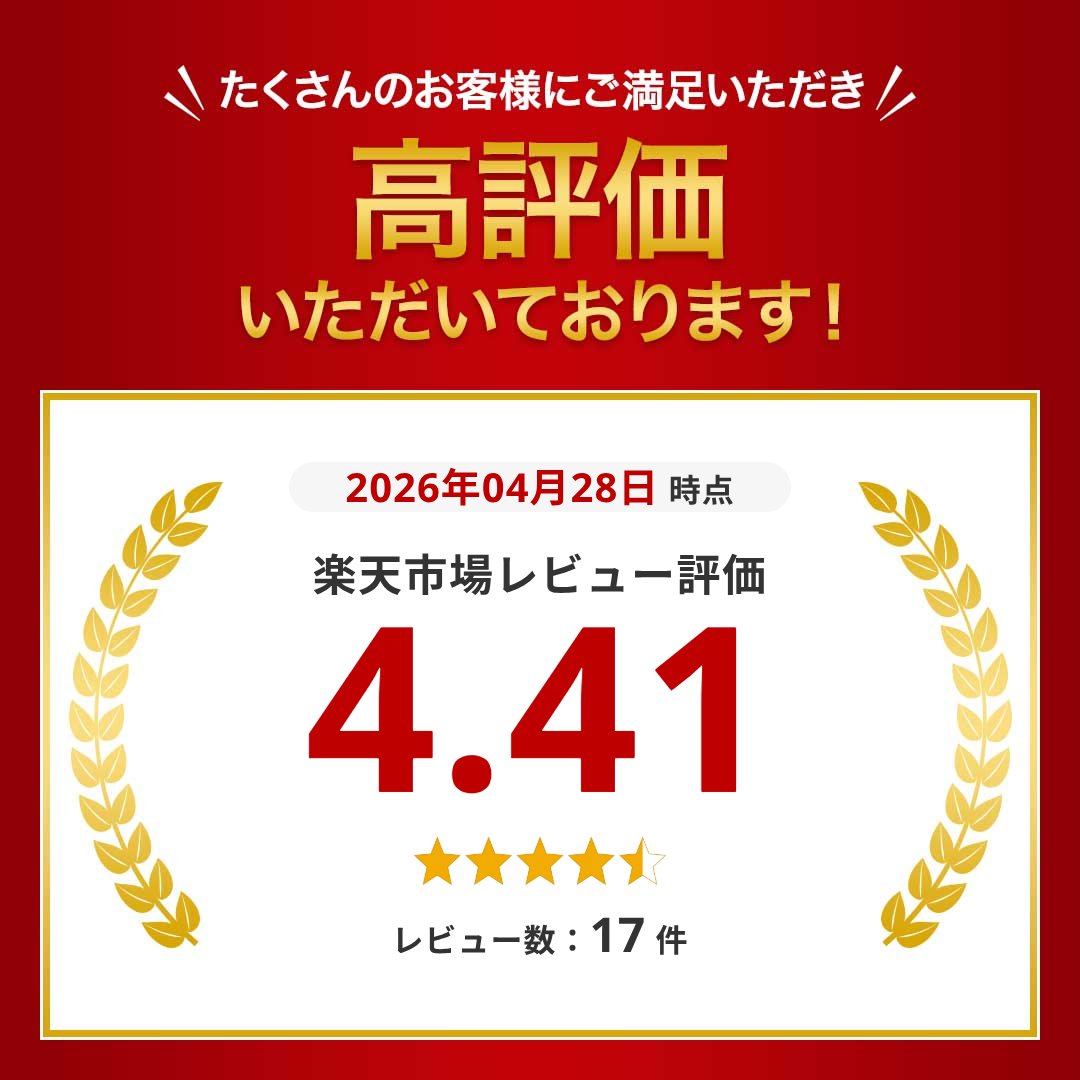 【期間限定値下げ 7/11 10：00まで】 【 背もたれ 付き 】 折りたたみ椅子 軽量 ア...