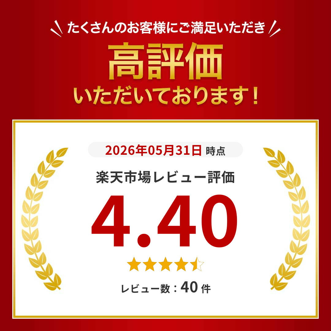 スーツカバー 持ち運び ガーメントバッグ スーツ入れ メンズ レディース 出張 冠婚葬祭 結婚式 ブラック 衣類 スーツ 収納 シワ 型崩れ 防止 大容量 防水 撥水 防塵 軽量 男女兼用 スーツバッグ ブリーフケース