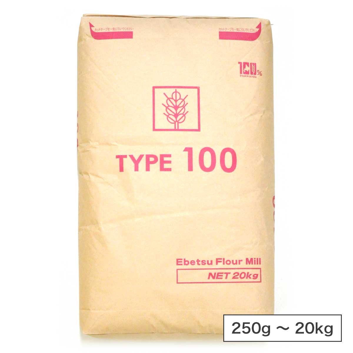 江別製粉 タイプ100 準強力粉 北海道産 小麦粉【250g〜20kg】