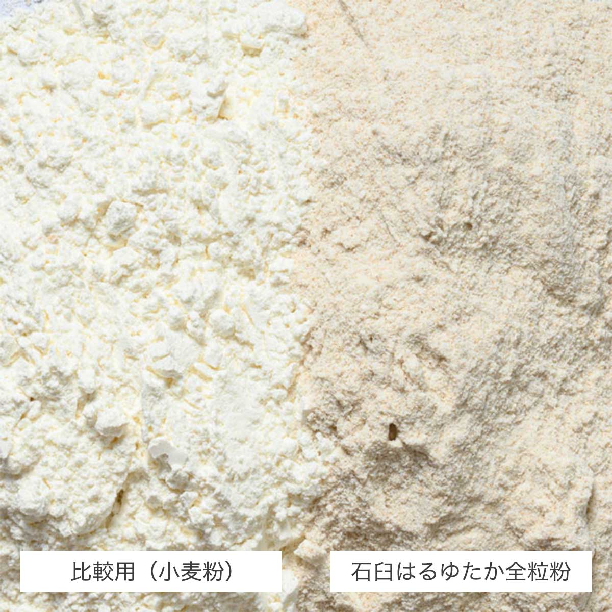 昭和産業　北海道小麦粉　650g×20個