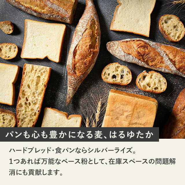 ベーカリスタ シルバーライズ（はるゆたかブレンド）（強力粉）北海道産 小麦粉【250g〜20kg】 3