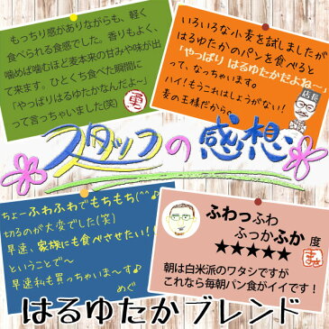 【送料無料】はるゆたかブレンド (強力粉) 900g【北海道産小麦粉 ハルユタカ小麦 江別製粉】【強力粉 小麦粉 国産 1CW 好きの方にも パン】【春豊 ホームベーカリー 食パン レシピ におすすめ パン材料】【メール便 ゆうパケット】