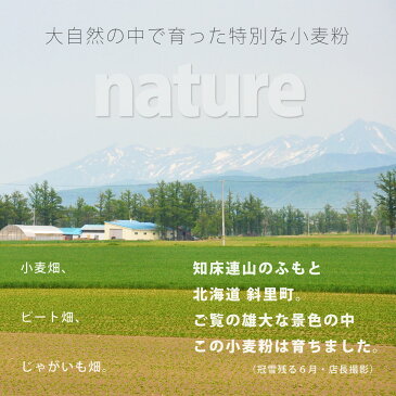 斜里産 春よ恋ストレート こはる (強力粉) 1kg【産地限定 小麦粉】【北海道 斜里産】【ホームベーカリー 食パン レシピ におすすめ パン材料】