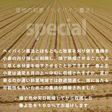 斜里産 春よ恋ストレート こはる (強力粉) 1kg【産地限定 小麦粉】【北海道 斜里産】【ホームベーカリー 食パン レシピ におすすめ パン材料】