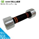 クロームアレー 鉄アレー 1kg マルシン産業 NS-CA1