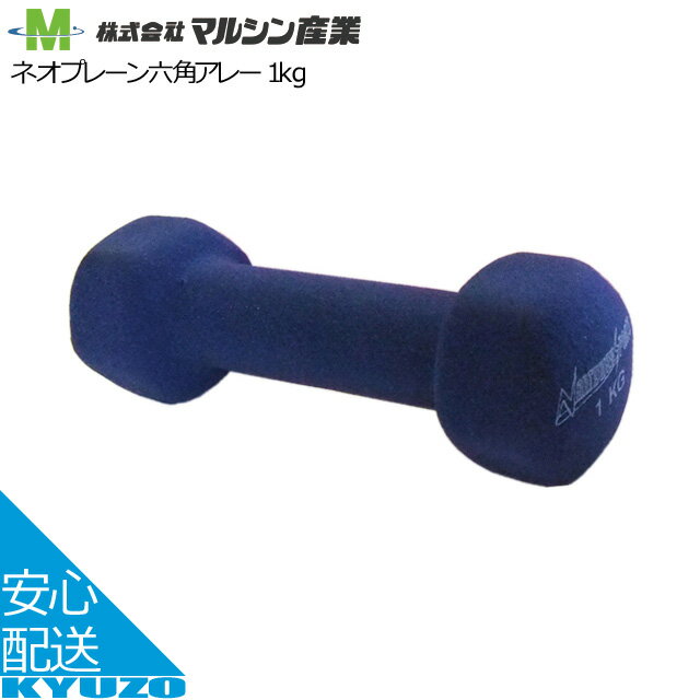 六角アレー 鉄アレー 1kg マルシン産業