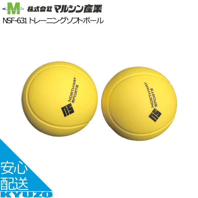 トレーニングソフトボール マルシン産業 NSF-631