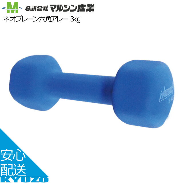 六角アレー 鉄アレー 3kg マルシン産業