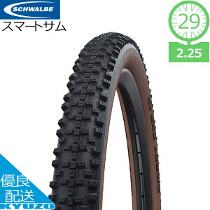 700OFFݥо ޡȥ Smart Sam ֥󥺥 磻䡼ӡ 29 292.25 57-622 ƥ졼 SCHWALBE  ž  ե ϩ ȥ꡼  1