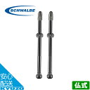 チューブレスバルブ 2本セット 仏式 100mm 自転車 バルブ 内径 4mm チューブレスタイヤ フレンチバルブ SCHWALBE シュワルベ SW-3472...
