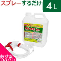 トーヤク 屋外用 コケカビ取り 4L 噴射ノズル付き コケ取り スプレー コケそうじ コケ落とし コケ 除去 コケ取り剤 苔取り カビ取り カビ掃除 お墓 墓石 玄関 タイル 屋上 お庭 ガーデニング 屋外用 長期持続 日本製 自転車の九蔵 あす楽