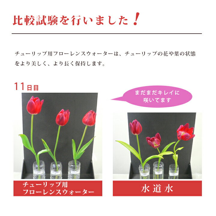 ���ϥ��ʲ֤������ݻ��� �ե�����󥹥��������� ��̿�� �ڤ�ֱ�̿�� ���塼��å��ѡ�250ml ��̿��