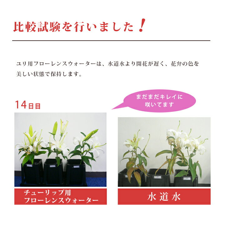 �ڤ�ֱ�̿�� ����� ���ϥ��ʲ֤������ݻ��� ��̿�� �ե�����󥹥��������� 250ml