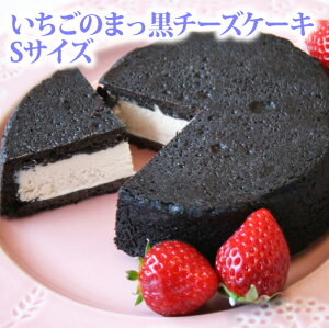 ホワイトデー Sサイズ・いちごのまっ黒チーズケーキ（おのし・包装・ラッピング不可） チーズケーキ 黒い 真っ黒