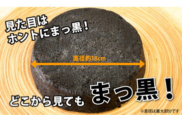 Lサイズ・まっ黒チーズケーキ送料無料 黒い 真っ黒 ベイクドチーズケーキ チーズケーキ お取り寄せ スイーツ