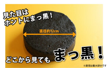 Sサイズ・まっ黒チーズケーキチーズケーキ 黒い 真っ黒 ベイクドチーズケーキ スイーツ お取り寄せ