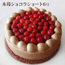 フランス菓子工房 ラ・ファミーユ ケーキ ＊6号＊木苺ショコラショート（おのし・包装・ラッピング不可）あす楽対応：正午12：00受付まで！当日発送／日祝発送休み／あす楽非対応商品ご一緒にご注文⇒翌日配送不可 誕生日 バースデー ケーキ 送料無料