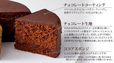 バレンタイン 早割 送料込 半熟ザッハトルテ（おのし・包装・ラッピング不可）チョコレートケーキ バレンタイン 本命 ケーキ