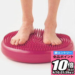 【ポイント10倍以上確定！要エントリー3/21 20:00スタート】MIZUNO ミズノ 秦運道具工業 バランスディスク 28mn30000 ラフィートスポーツ