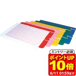 Rakuten - 【ポイント10倍！要エントリー6/11 01：59まで】エバニュー Evernew 大旗P 学校器具 アクセサリー EKA647-700 ラフィートスポーツ