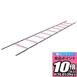 【ポイント10倍以上確定!要エントリー4/10 01:59まで】ニシスポーツ NISHI ラダー 屋内用 NT7705-960 ラフィートスポーツ