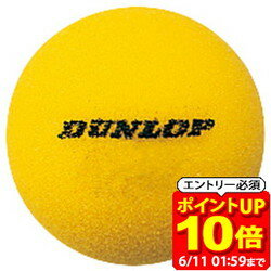 sponge2yl6_1.jpg