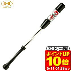 【ポイント10倍！要エントリー6/11 01：59まで】ハイゴールド Hi-GOLD TR3-80G トリプルスリー シルバー トレーニング器具 TR380G ラフィートスポーツ