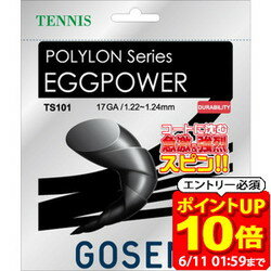 GOSEN ゴーセン エッグパワー17 ブラック テニス ガット TS101BK ラフィートスポーツ