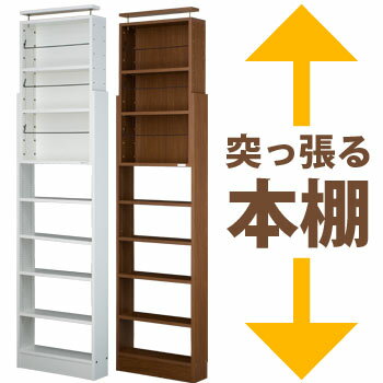 本棚 天井ツッパリ本棚＜読書家向け＞（薄型 愛書家 CH-6017 ch6017 薄型本棚 収納 大容量 突っ張り つっぱり スリム 転倒防止 ブック アメトーク 充英アート）