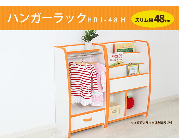 収納 ハンガーラック EVAハンガーラック スリム幅48cm【送料無料】【完成品】HRJ-4...