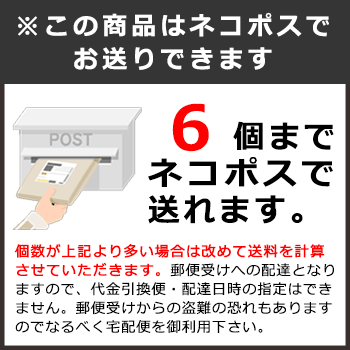常備用カイロ（貼らないタイプ）単品[5年保存]（保温 冬 温まる 暖かい 温かい）[M便 1/6]
