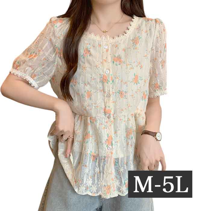 ���� �ȥåץ� ����� �������ȥåץ� Ʃ���� �֥饦�� ����˥å� �����С��֥饦�� �礭�������� ��ǥ����� �ȥåץ� 5ʬµ Ⱦµ �ѥե��꡼�� ���� ��...