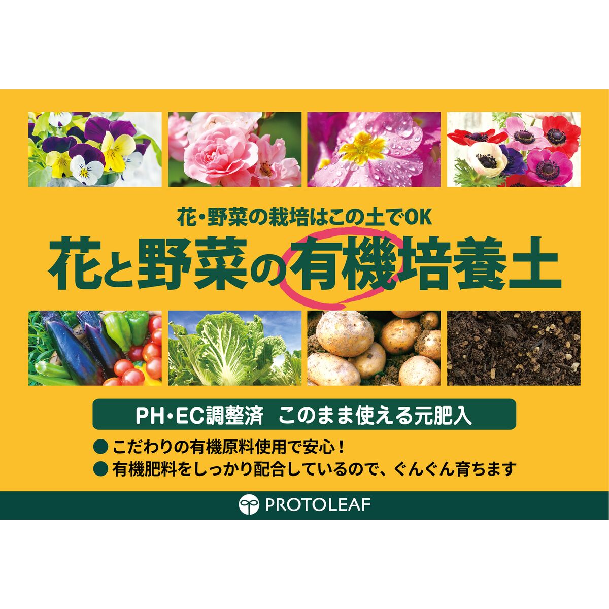 �ץ��ȥ꡼�� �֤���ڤ�ͭ�������� 12L ��4�� ����������