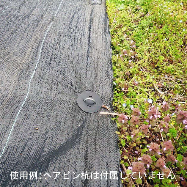 シンセイ 黒丸 1000個入り（10個×100パック） 【メーカー直送・代引不可・置配不可】