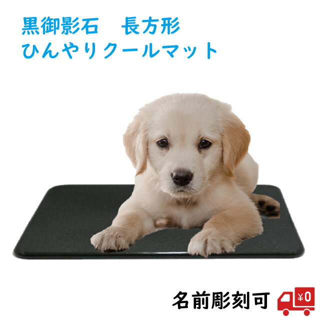 犬用クールマットおすすめ11選|ひんやり夏の暑さ対策に | マイナビおすすめナビ 犬用クールマットおすすめ11選|ひんやり夏の暑さ対策に | マイナビおすすめナビ