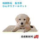 ひんやりマット 猫 犬 ねこ ネコ ペット用 接触冷感 ペットマット 冷感 クールマット 夏 ひんやり マット 犬用 石 ペット マット 石製 板 長方形 暑さ...