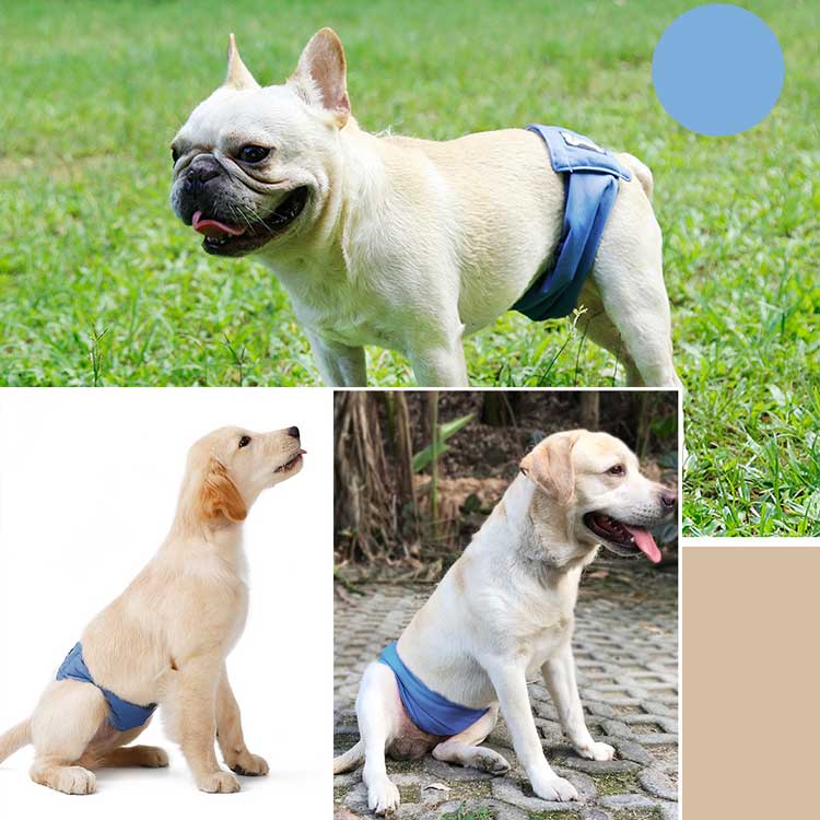 ズレヘンダー 犬用サスペンダー オムツもパンツももうズレない 生理用パンツ サニタリーパンツ マナーパンツ おむつ モスグリーン ドッグ 介護 犬 小型犬 おむつカバー マナーベルト パンツ 在庫有 犬用おむつカバー ベージュ