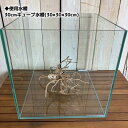 枝流木S【ベトナム産】【形状おまかせ】【レイアウト素材】【約12.0〜18.0cm】【ナチュラル】【根っこ】【ブランチウッド】【カミハタ】